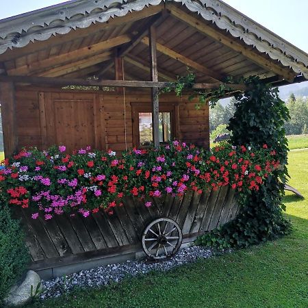 Ferienwohnungen Simon - Hauserhof 奥贝朴菲斯 外观 照片