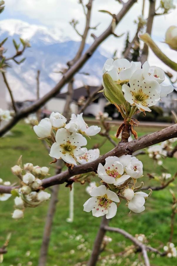 Ferienwohnungen Simon - Hauserhof 奥贝朴菲斯 外观 照片